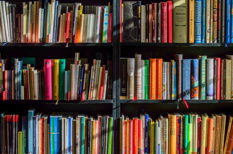 magasin-CHATEAUNEUF D ENTRAUNES-min_books_bookstore_book_reading_shop_writer_sale_books_read-822866
